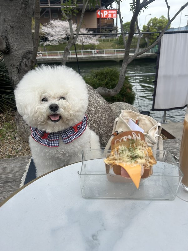 テラスBAR7c 犬用オムレツ ペット可テラス 川沿いBBQ 大正